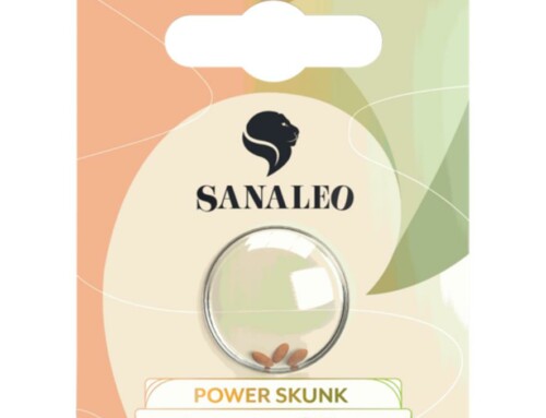 Cannabis Samen Online kaufen – Power Skunk Seeds